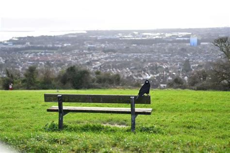 portsdown hill dogging|Popular Hampshire beauty spots being used as dogging sites